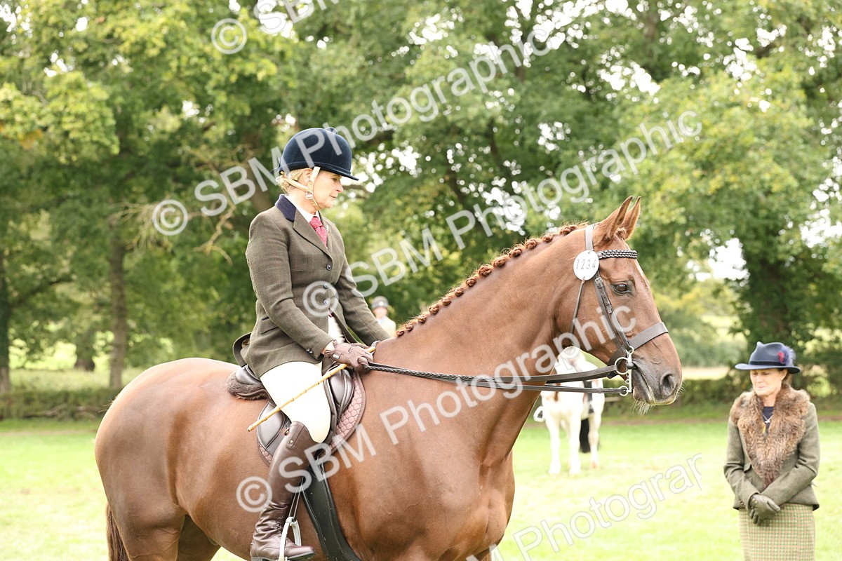 SBM_66387 - S66 - Hunter Ridden