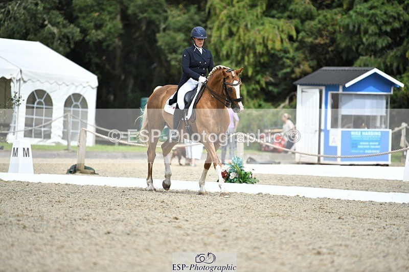 230812-144338-04778 - Cls 7 FEI PSG Bronze