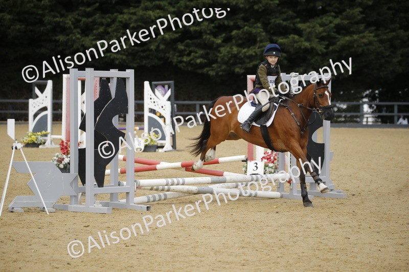 20250622-1583 - 40cm