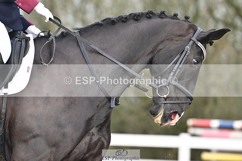 240218A-095149-04877 - 183-Clare.Deithrick-SP.Dramatic