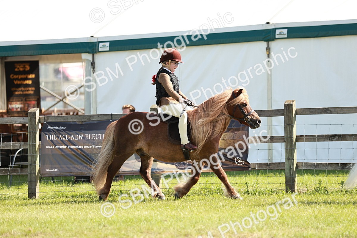 SBM_12566 - Class 106-107 - BSPS LIHS Working Sports Pony