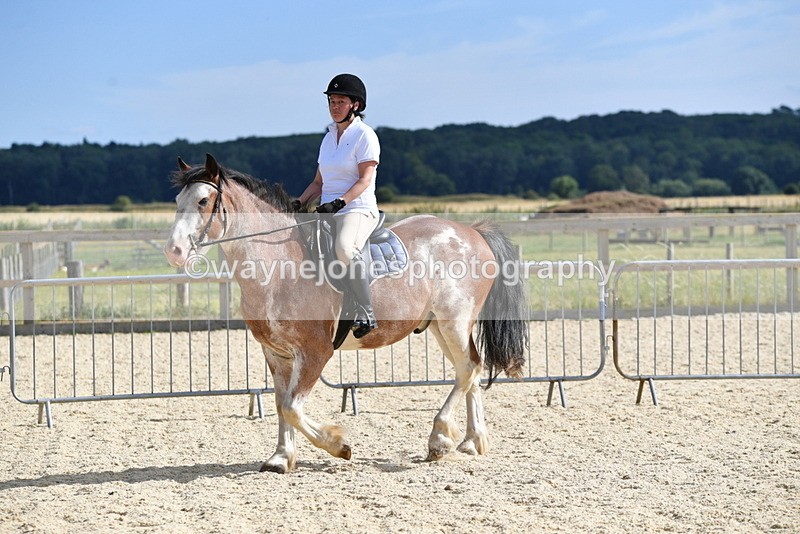 WJ5_5535 - Poles on the Floor