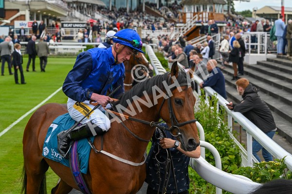 140624-Race 2-Inconspicuous-3911 - Race 2 2.25pm CGE Yorkshire Rous Selling Stakes