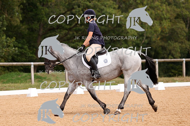 _R6A2851 - Dressage Morning