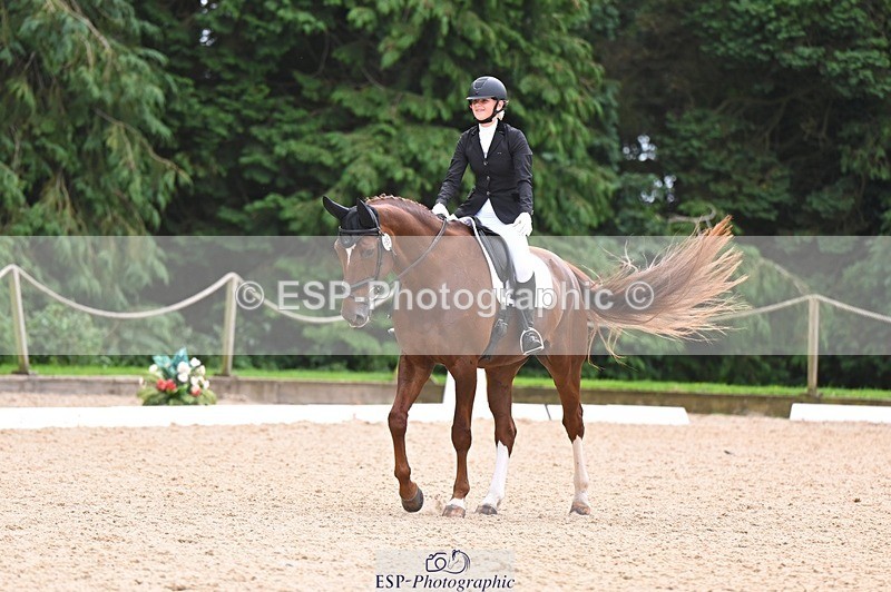 240809-122023-00749 - 185-Daisy.Hedges-Felicia.v