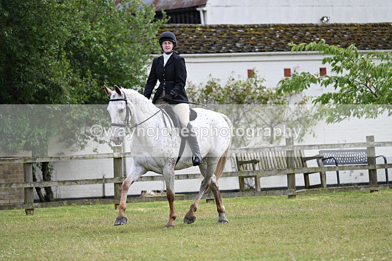 WJ7_8361 - Class 7  Riding Club Show Horse