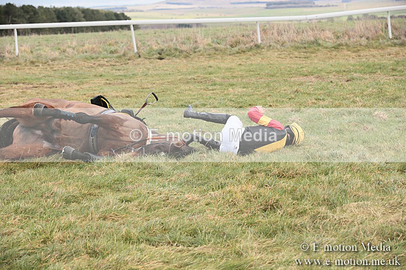 PtP 230119 69 - Royal Artillery Point-to-Point  - Larkhill  - 26/01/19