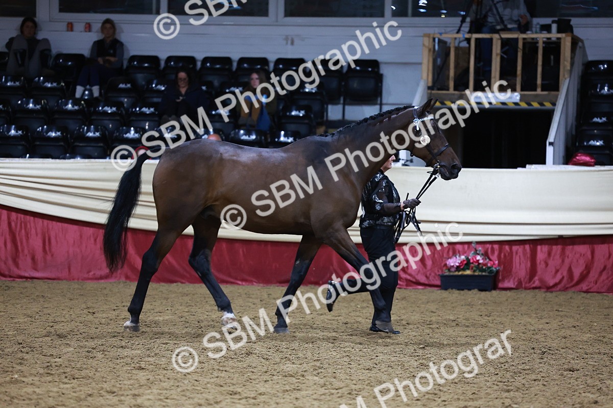 SBM_20633 - Class I - Ridden Pony Champ