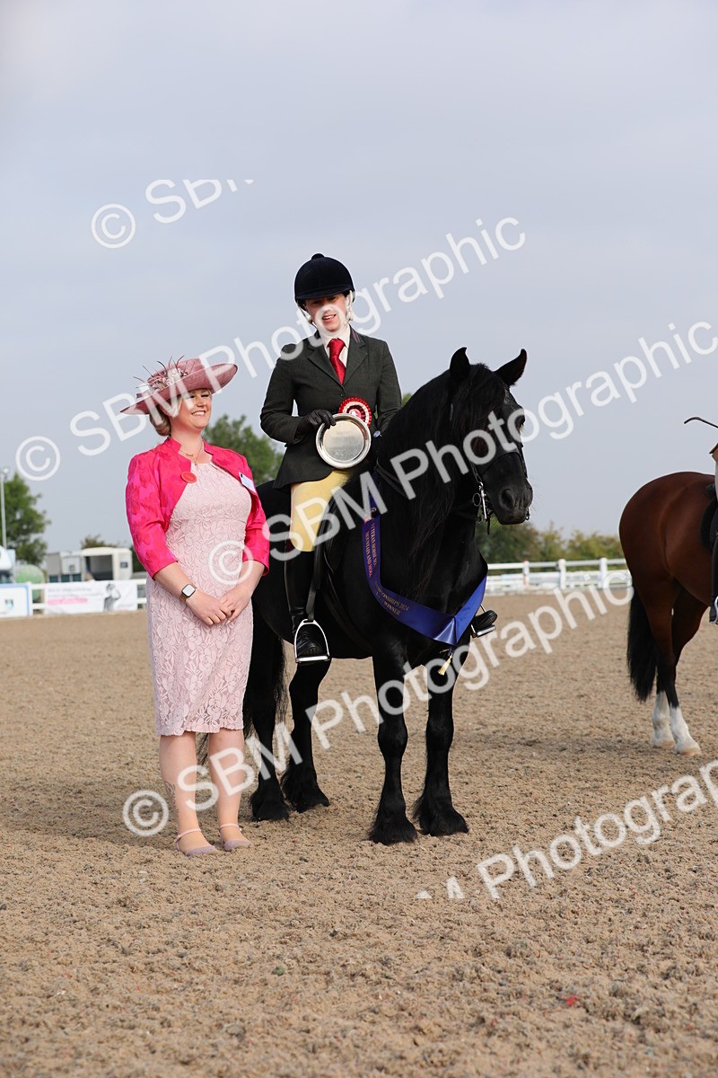 SBM_10153 - Class 302 Ridden M&M -Large Breeds