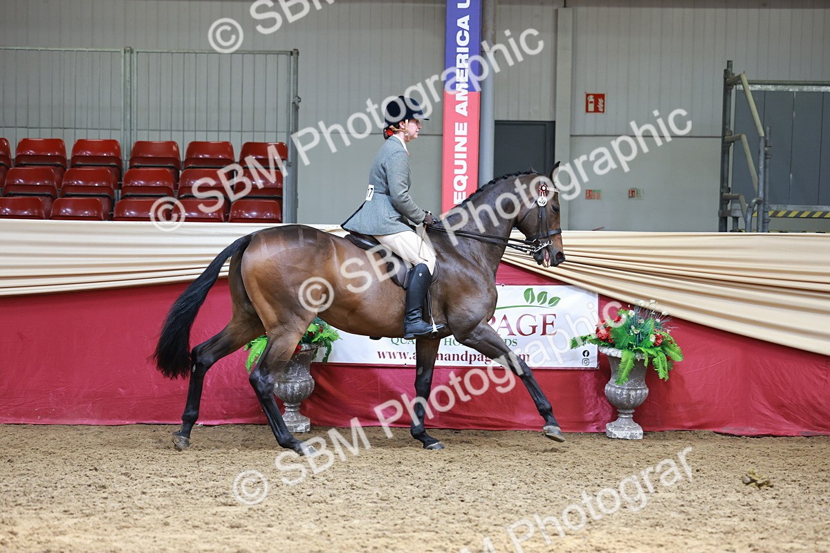 SBM_15009 - Class 108 - Ridden Retired Racehorse