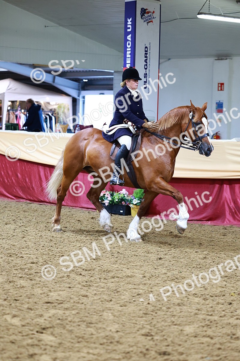 SBM_23874 - Supreme Final - Ridden Champ