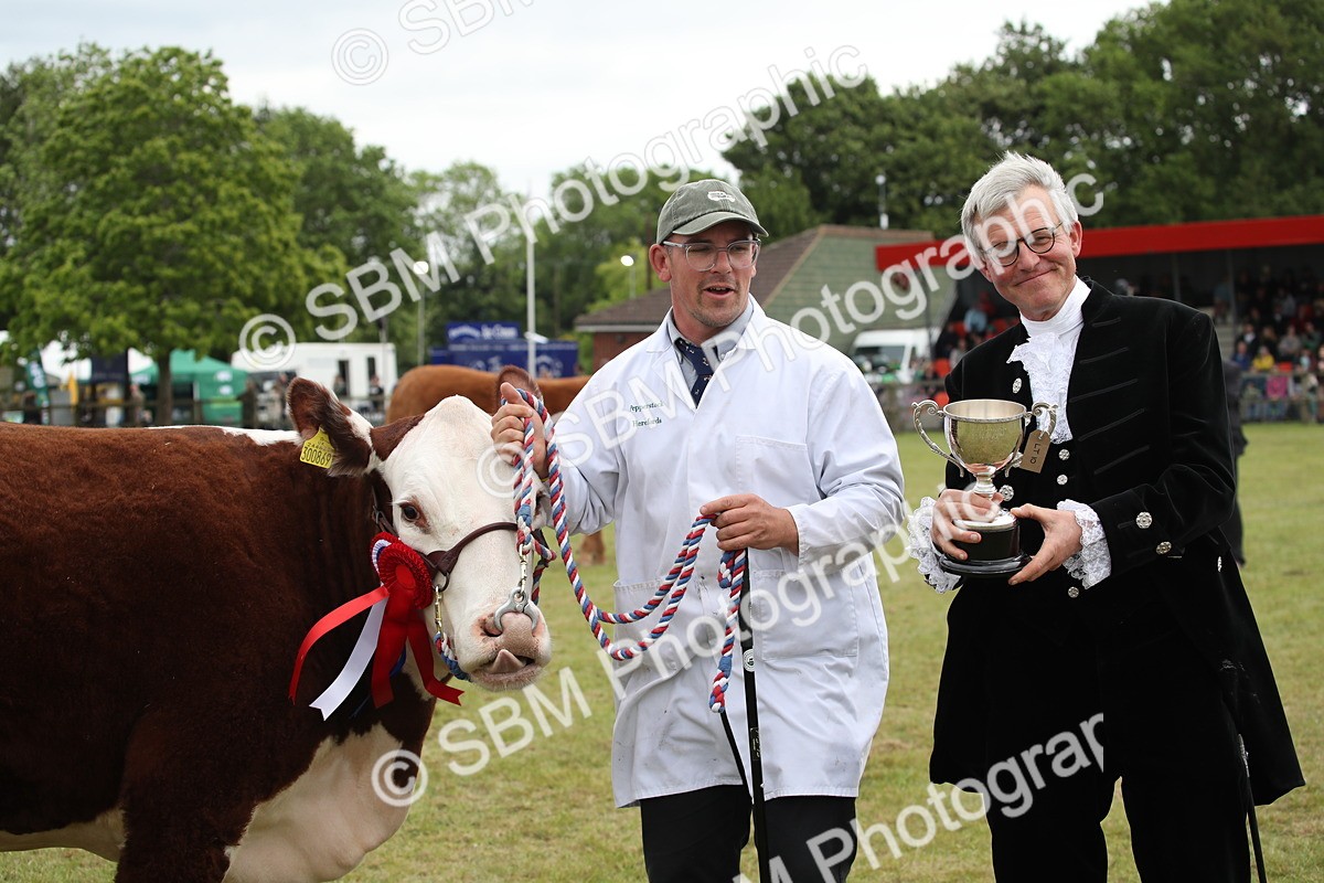 SBM_07911 - Grand Parade