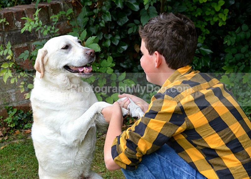  - Man's Best Friend