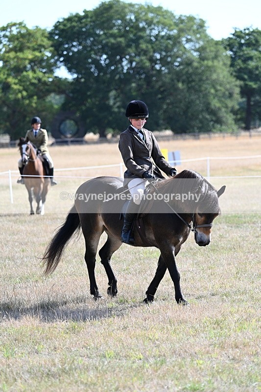 WJ7_2921 - Class 8 Ridden Tack & Turnout