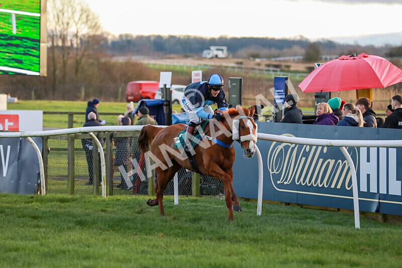 281224-Race 5-Poetry Man-1687 - Race 5