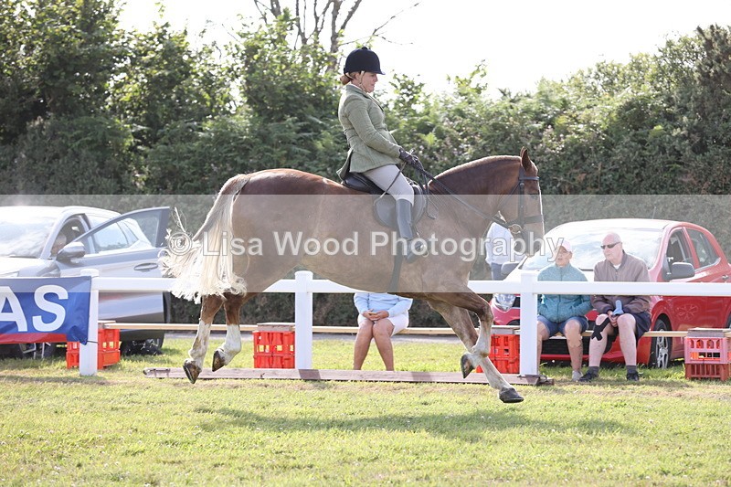 JPP_3013 - Class 20: Working Hunter 70cm