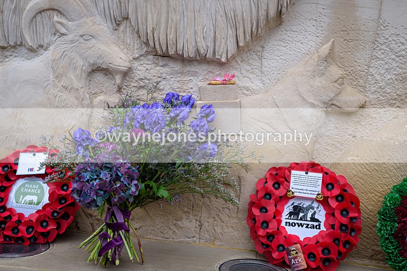 NGP_8335 - 2024 Animals in War Remembrance Gathering