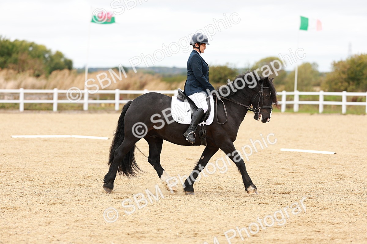 SBM_001498 - Class 4 - Prelim 3