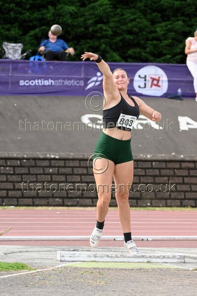 Sen25SUN-929660 - Field Female Set Two