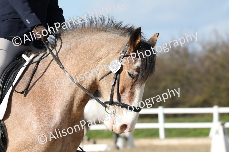 20260314-4990 - CT6 - Elementary 1