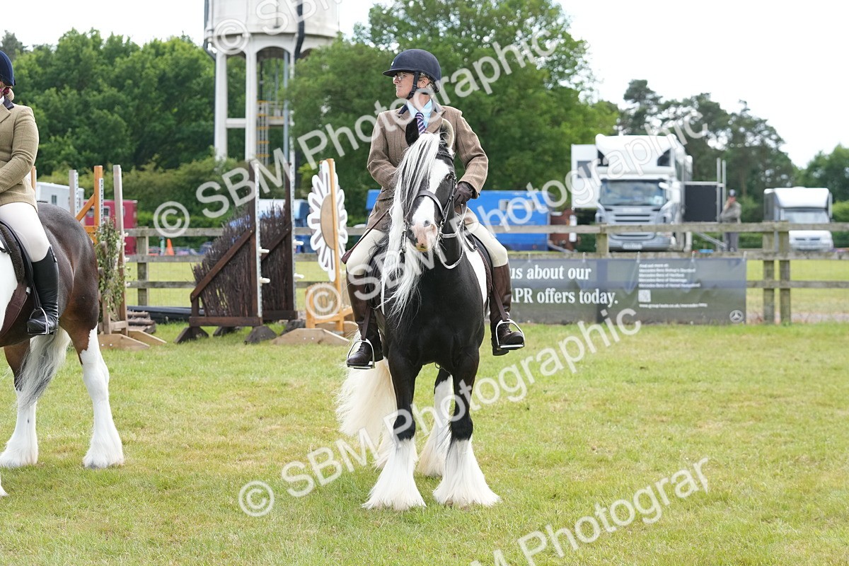 SBM_17316 - Class 107-108 - LIHS BSPS Performance Coloured Horse Pony