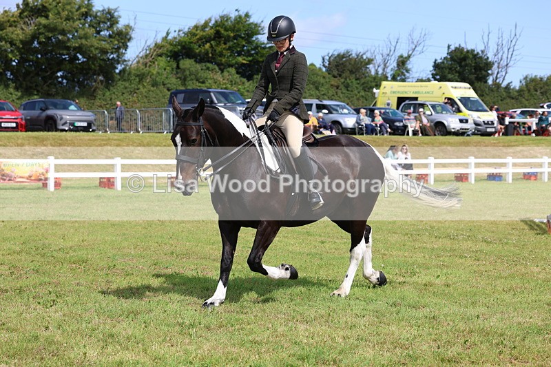 3E7A9850 - Class 5: Rising Star Lightweight/Heavyweight Cobs