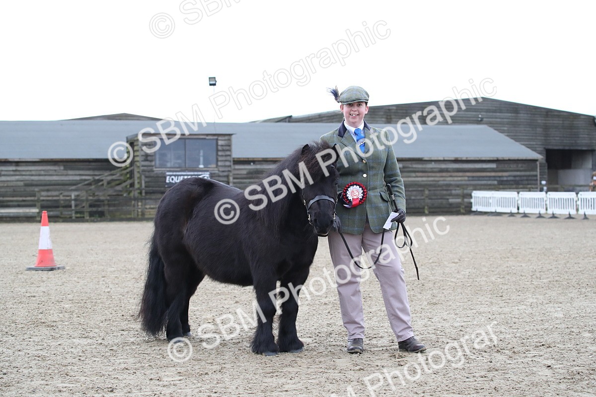 SBM_003895 - Class 1-4 - Young Stock classes Inc. In Hand Championship