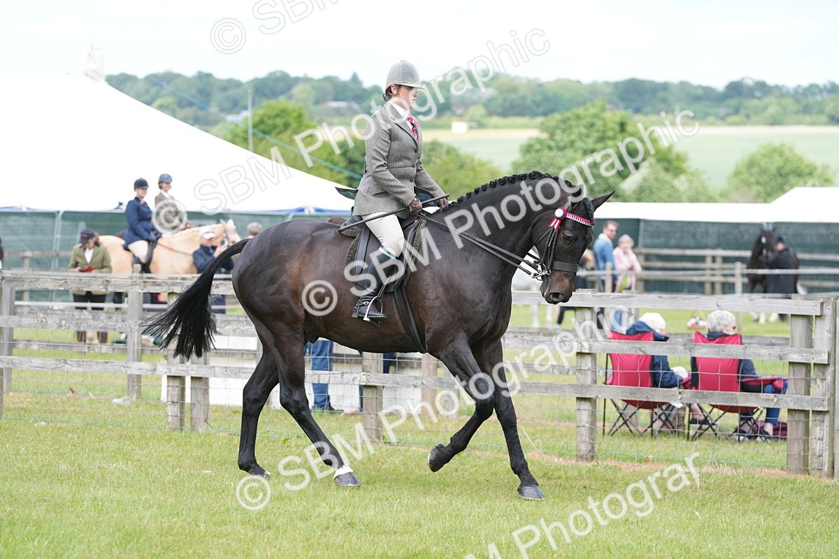 SBM_16164 - Class 105-106 - RIHS Riding Horses