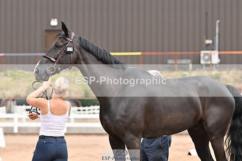 250716-144342-01338 - Trot Up 2.30 to 3.30