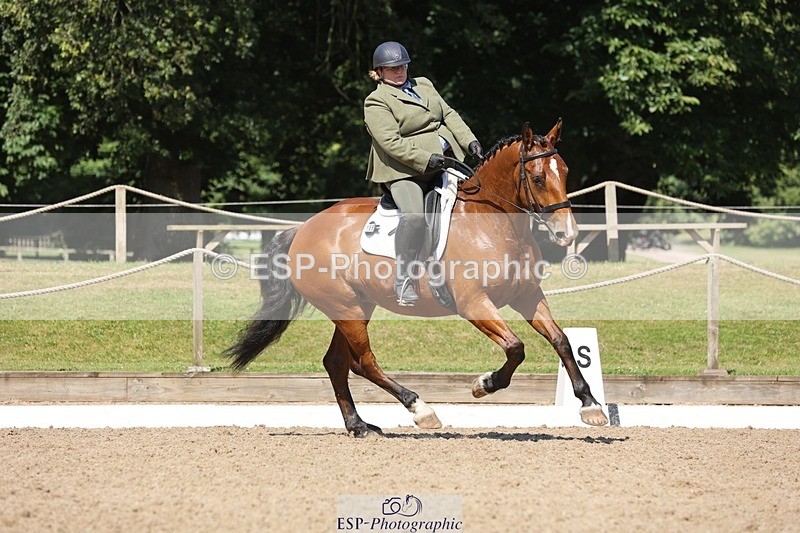 240719-105347-00810 - 169-Marion_Eaves-Indigo_Queen_of_Hearts