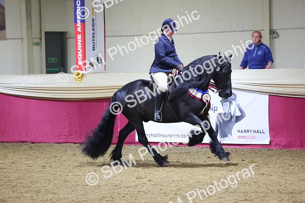 SBM_19301 - Class K Equitation Champ