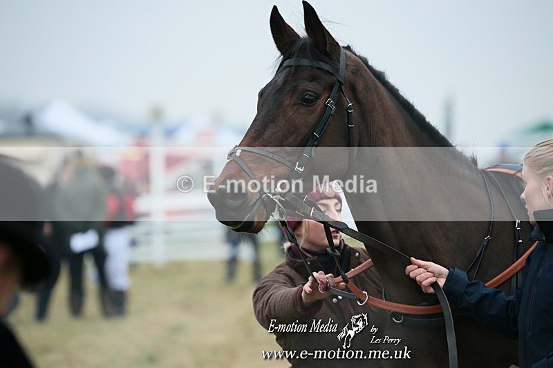 PtP 261123 64 - Hursley Hambledon Point-to-Point Larkhill 26 Nov 2023