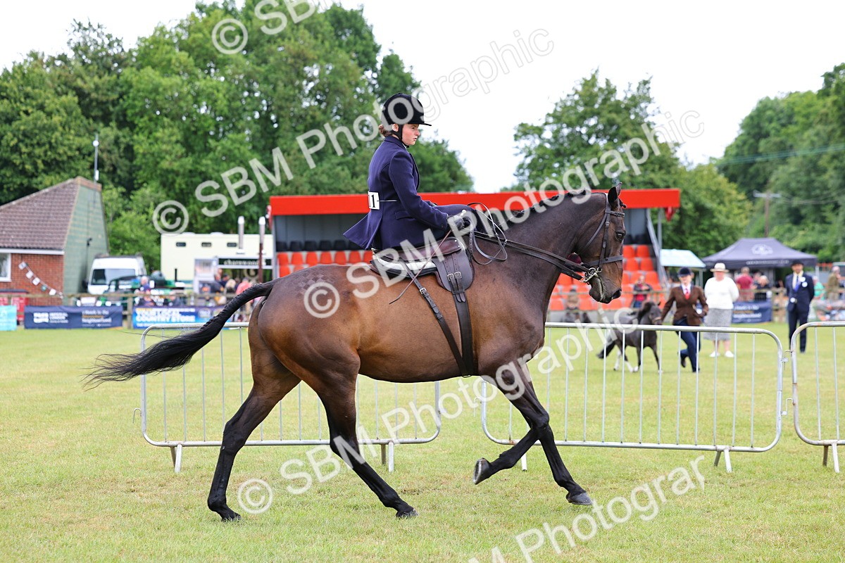SBM_02815 - Class 9-11 Side Saddle including LIHS Rising Star Ladies Show Horse