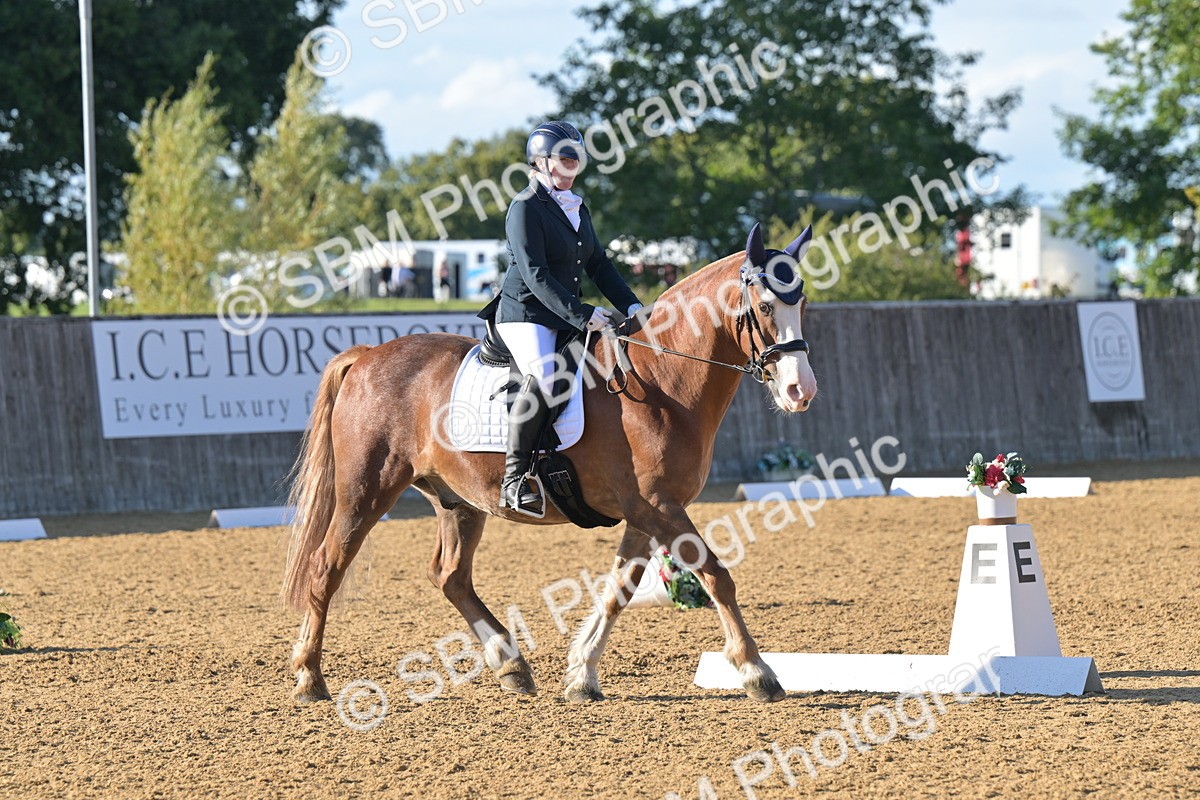 SBM_12992 - D3 - Small Tour Championship Intro 3