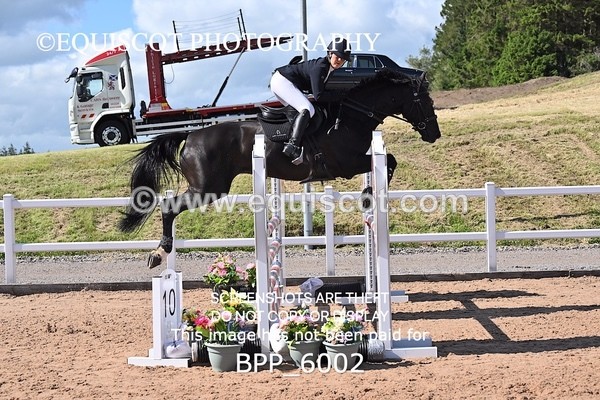 BPP_6002 - CLASS 10 THURS Nupafeeds Senior Dicovery/1m open