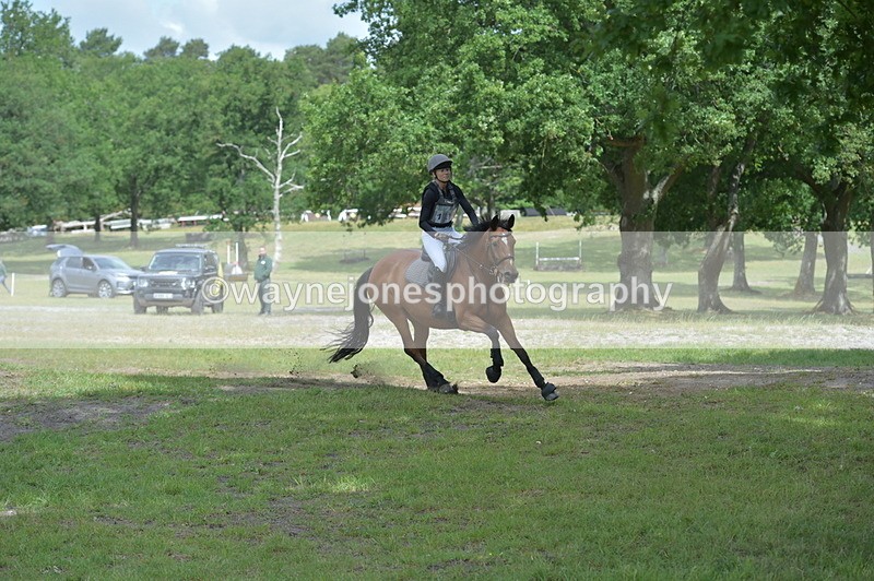 NGP_7319 - Time 11:10 to 11:18