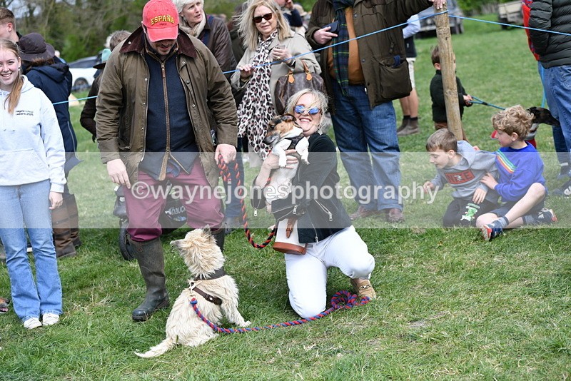 WJ5_0532 - Class 7 Best Terrier