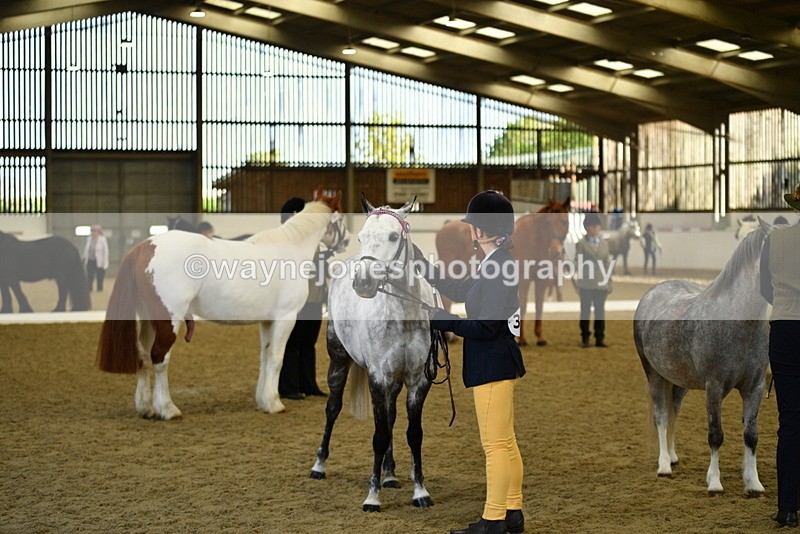 WJ5_4065 - Class 2 Best Condition In hand