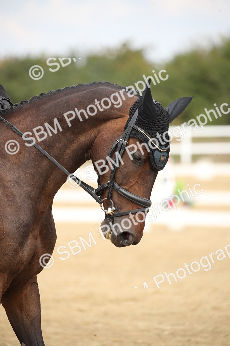 SBM_001312 - Class 2 - Pelim 5 - 11.36.12.32