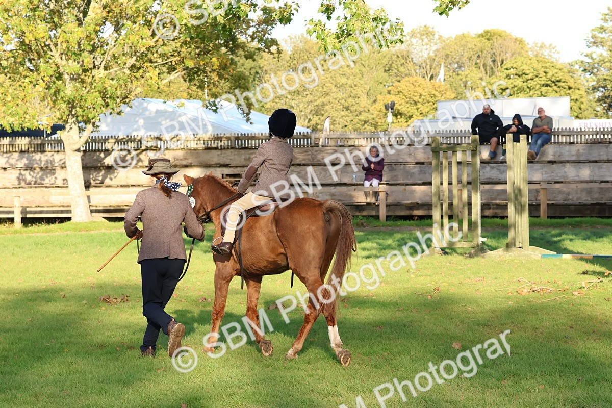 SBM_53024 - S29 - Mature Veteran Ridden