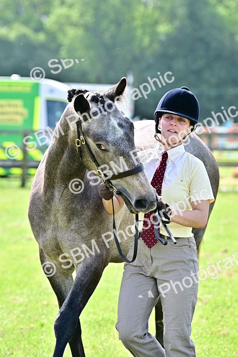 SBM_03308