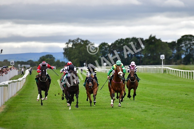 170625-Race 6-Kings Crown-4199 - Race 6