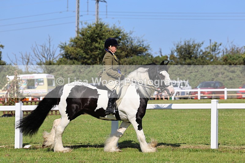 IMG_1615 - Class 30: Ridden Native/Trad Coloured Pony