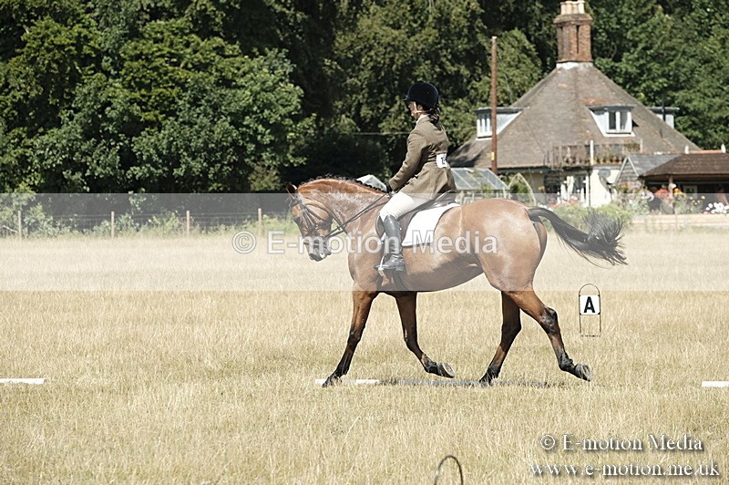 _PJP5844 - Dressage Classes BVRC Show 2018