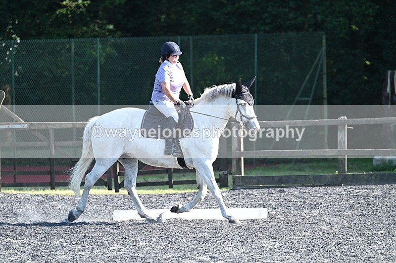 WJ7_8675 - Time 17:15 to 17:39