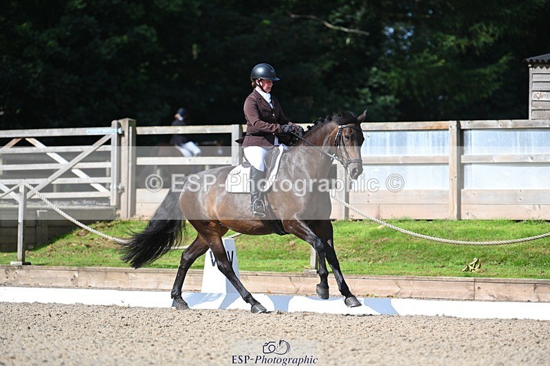 230811-095756-00191 - Cls 3 Adv Medium Bronze Start to 10.25 break