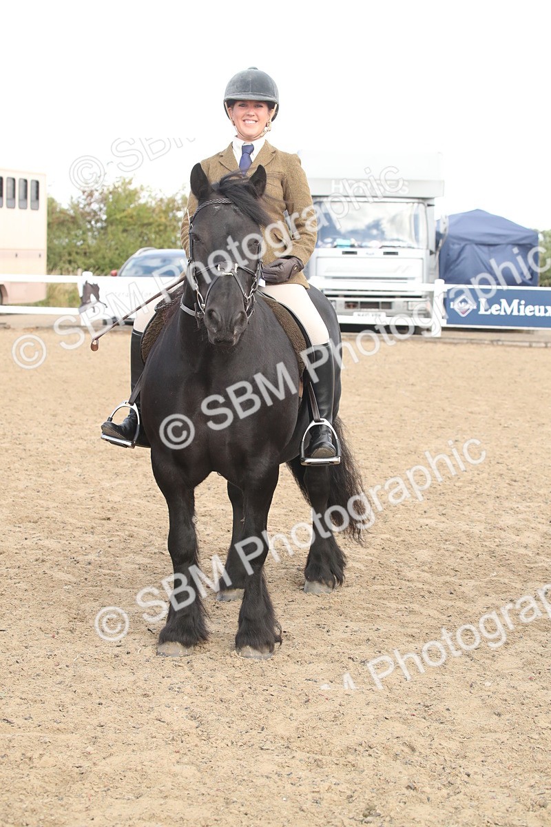 SBM_14586 - Class 505a - M&M Working Veteran - 50cm (15-19)