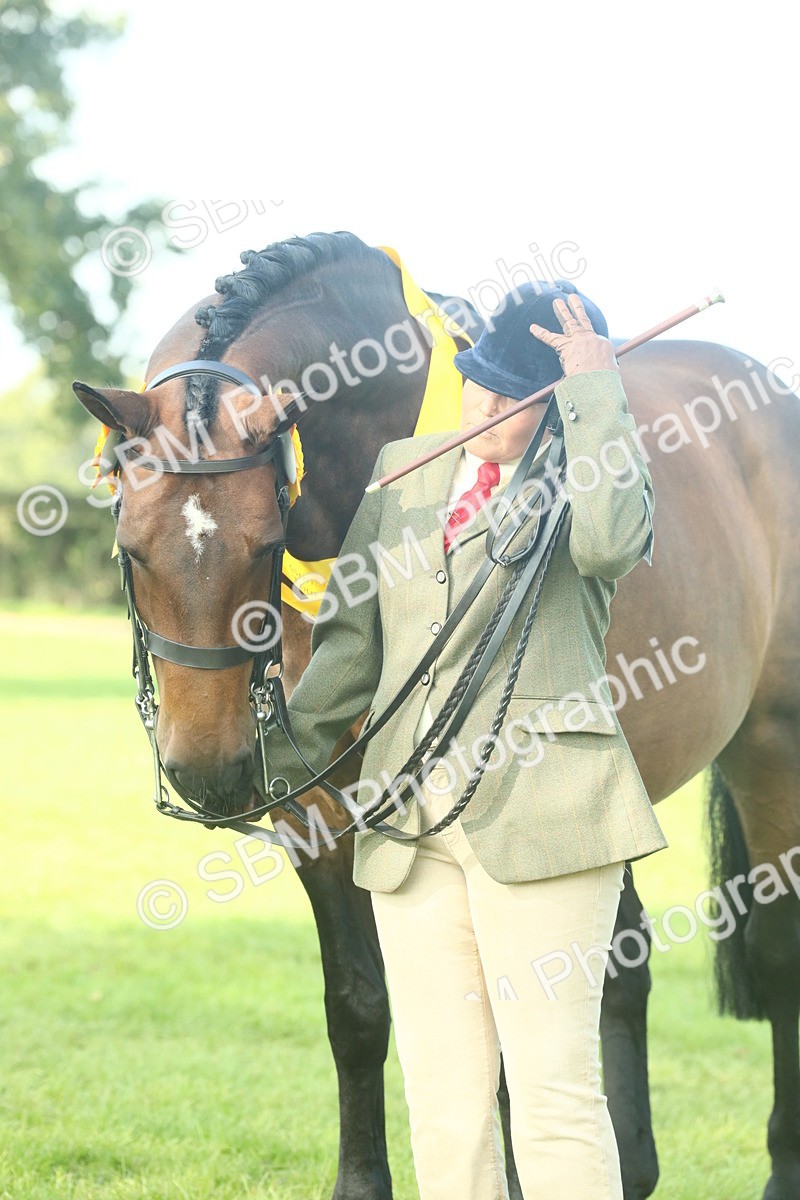 SBM_61136 - Starter Supreme Championship
