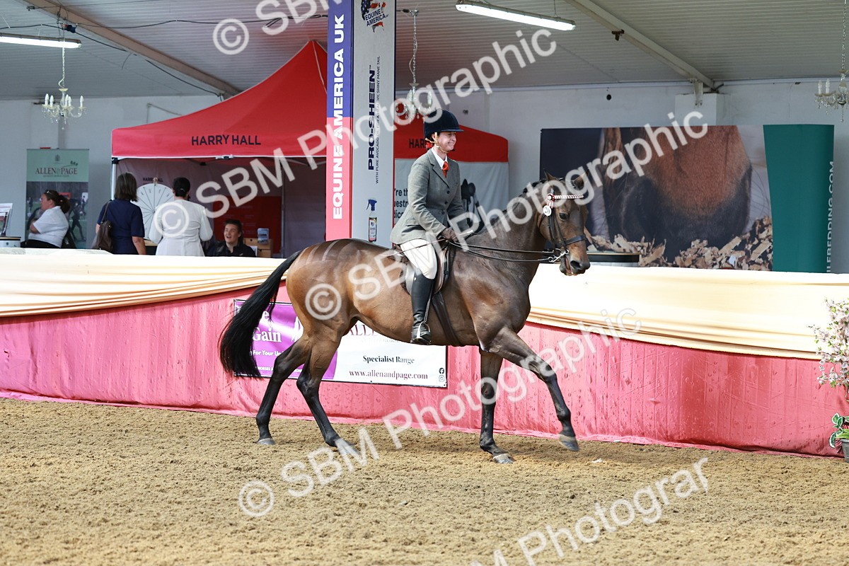 SBM_14894 - Class 108 - Ridden Retired Racehorse