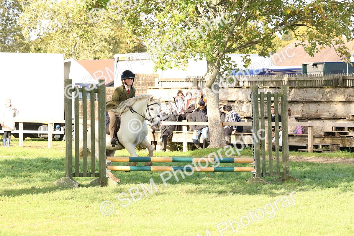 SBM_52594 - S13 - Pony Club Pony